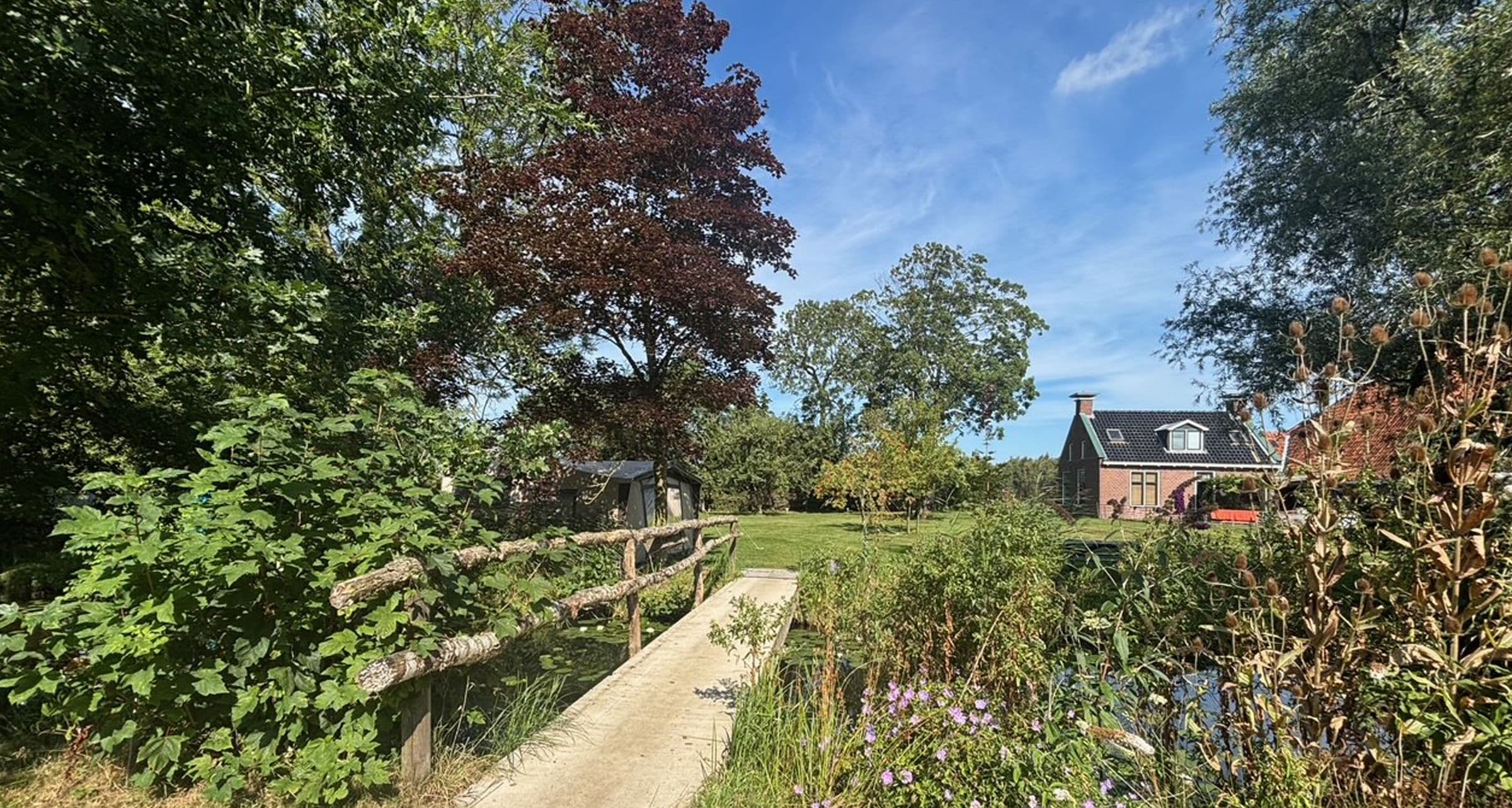 Een houten bruggetje over de sloot, met bomen, een grasveld en bloeiende planten in de zomer.
